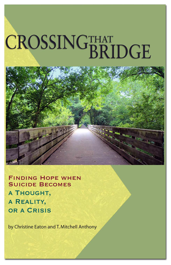Crossing That Bridge Book cover